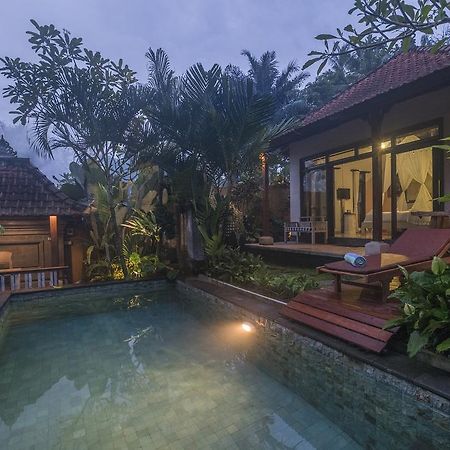 Virmas Private Villa Убуд Екстер'єр фото